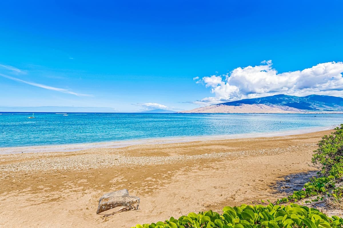 Condo in Kihei · ★4.75 · 1 bedroom · 2 beds · 1 shared bath - Photo 5