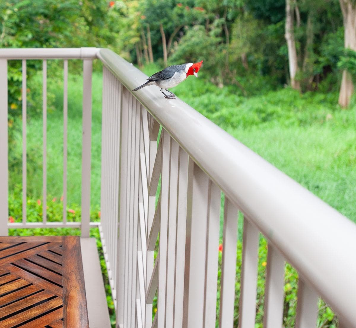 Condo in Princeville · ★4.8 · 2 bedrooms · 2 beds · 3 private baths - Photo 4