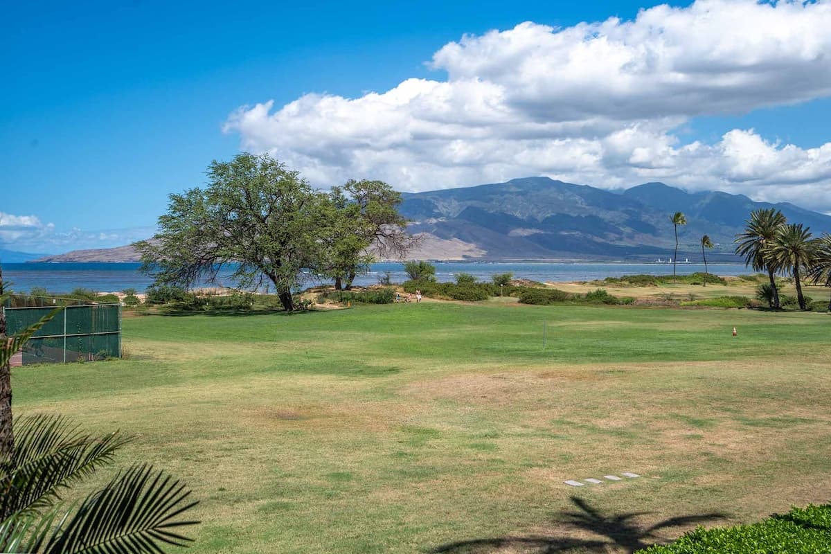 Home in Kihei · ★4.8 · 1 bedroom · 2 beds · 1 private bath - Photo 2