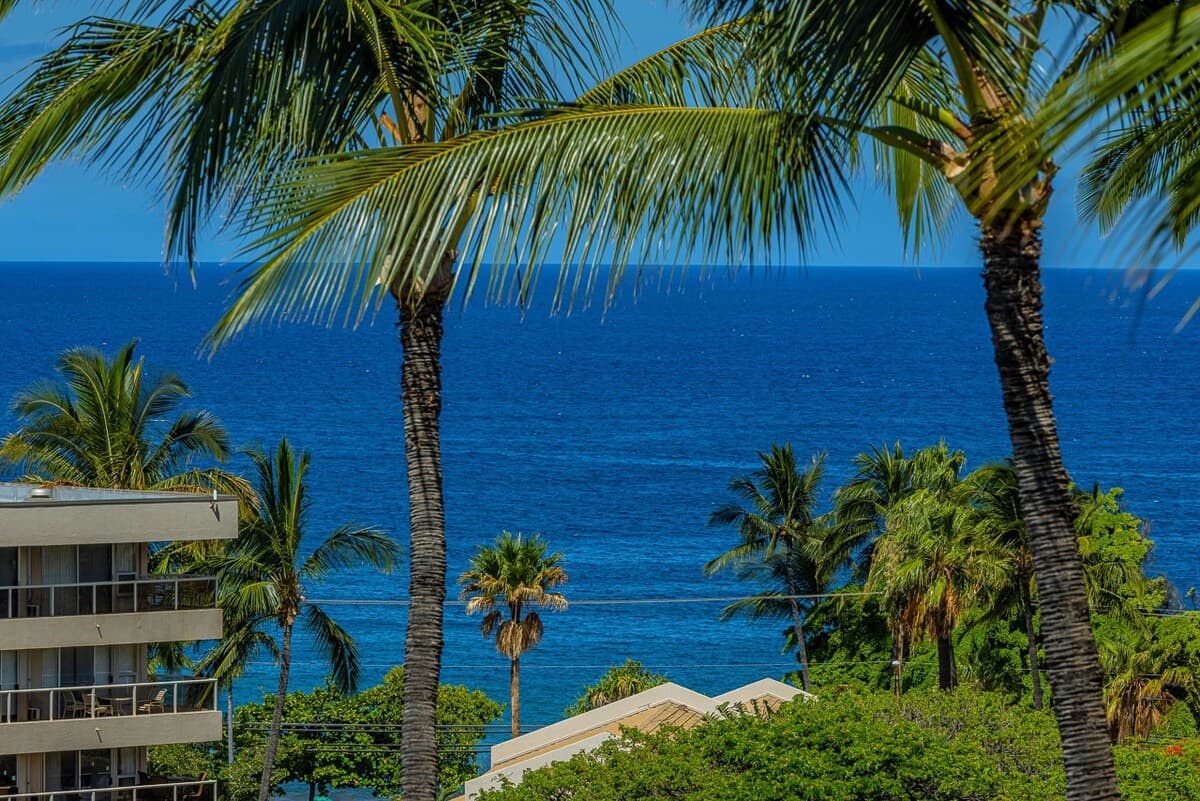 Condo in Kihei · ★4.94 · 1 bedroom · 2 beds · 1 shared bath - Photo 4