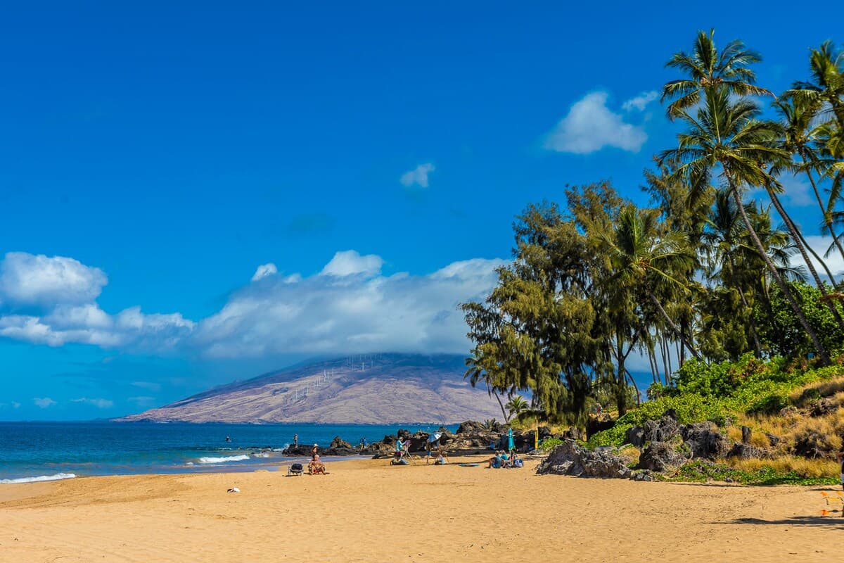 Condo in Kihei · ★4.94 · 1 bedroom · 2 beds · 1 shared bath - Photo 2