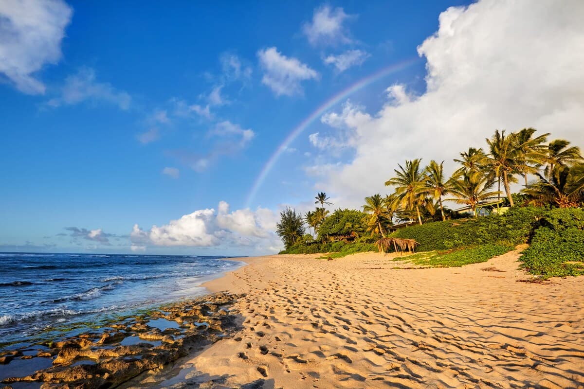 Home in Waianae · ★4.82 · 3 bedrooms · 4 beds · 2.5 private baths - Photo 4