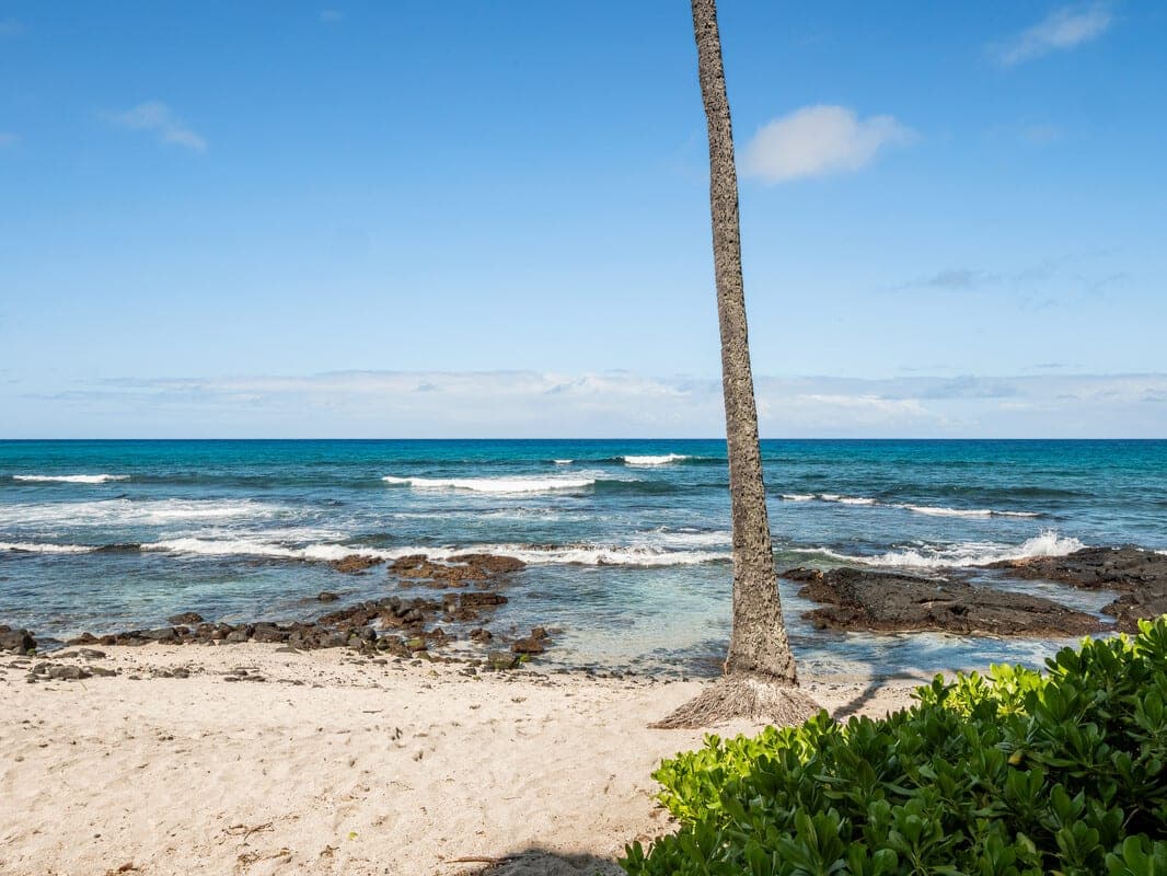 Condo in Kailua-Kona · ★4.9 · 1 bedroom · 1 bed · 1 private bath - Photo 5