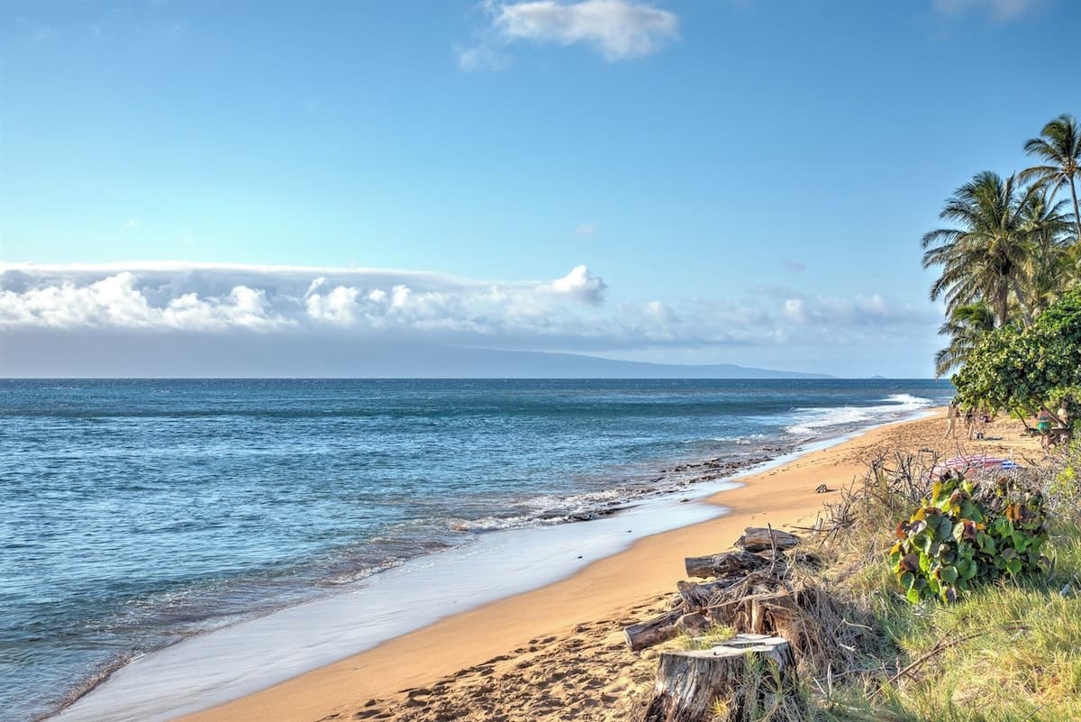 Condo in Lahaina · ★4.96 · 2 bedrooms · 3 beds · 1 bath - Photo 2