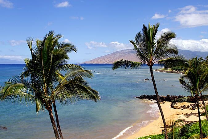 Home in Kihei · ★4.71 · 1 bedroom · 2 beds · 1 shared bath - Photo 5