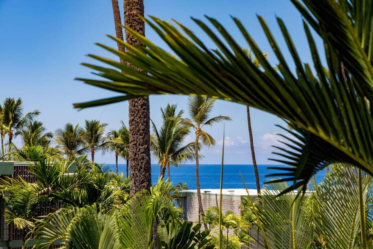 Condo in Kailua-Kona · ★4.78 · 1 bedroom · 2 beds · 1 private bath - Photo 4