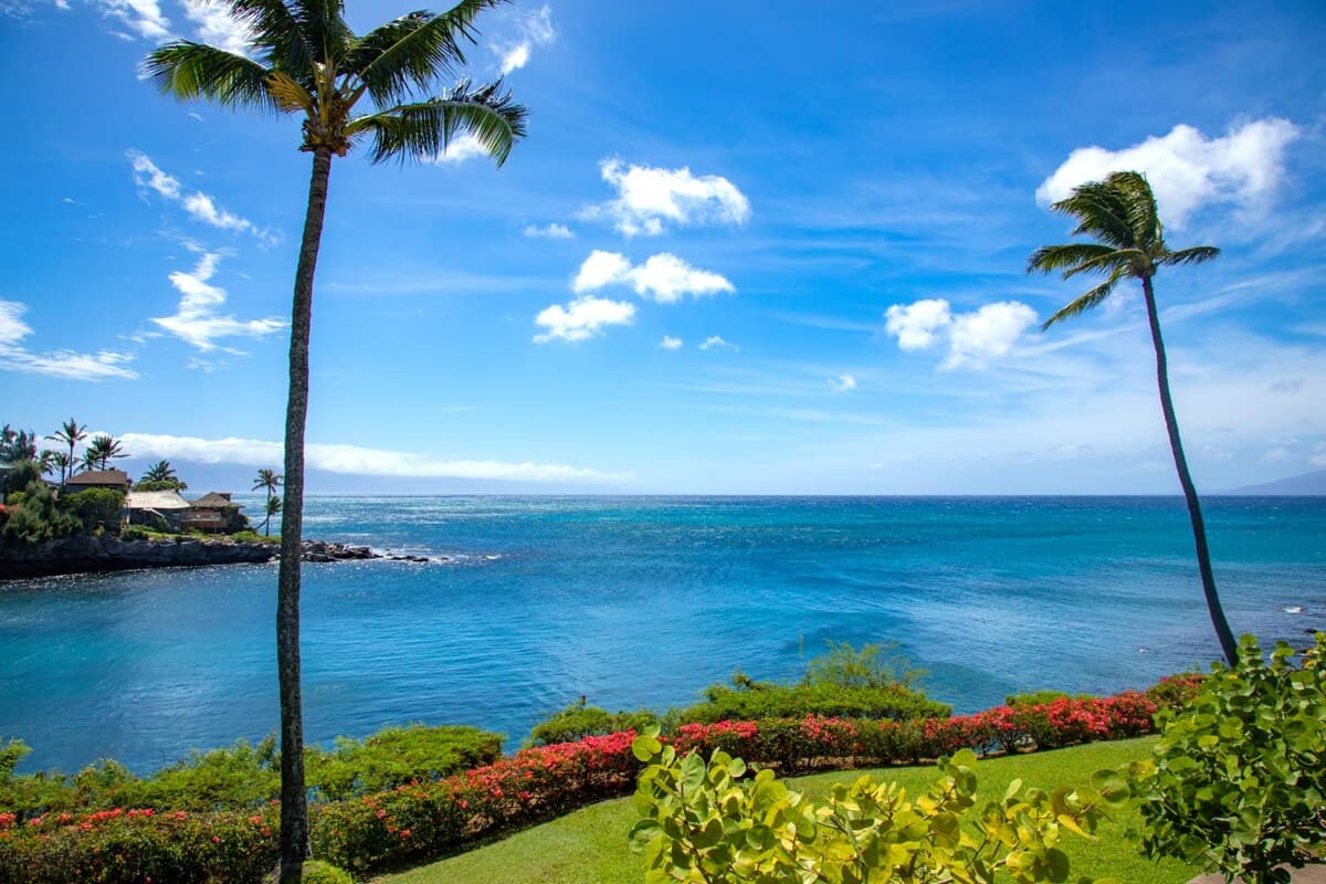 Condo in Lahaina · ★4.87 · 1 bedroom · 2 beds · 1 bath - Photo 1