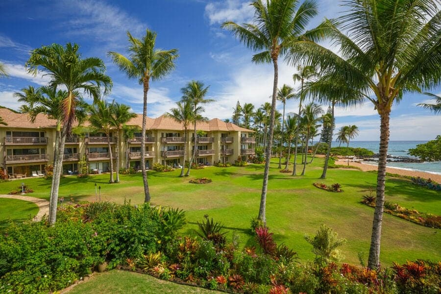 Condo in Kapaa · ★5.0 · 2 bedrooms · 2 beds · 2 baths - Photo 3