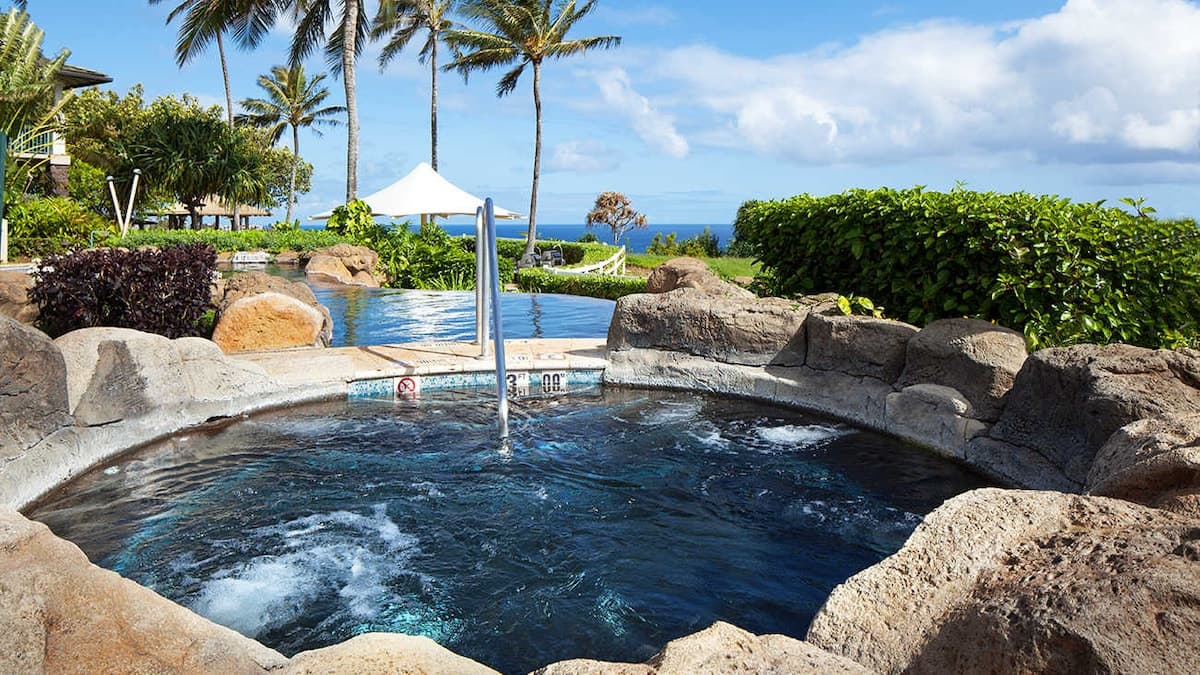 Condo in Princeville · ★4.64 · Studio · 2 beds · 1 bath - Photo 1