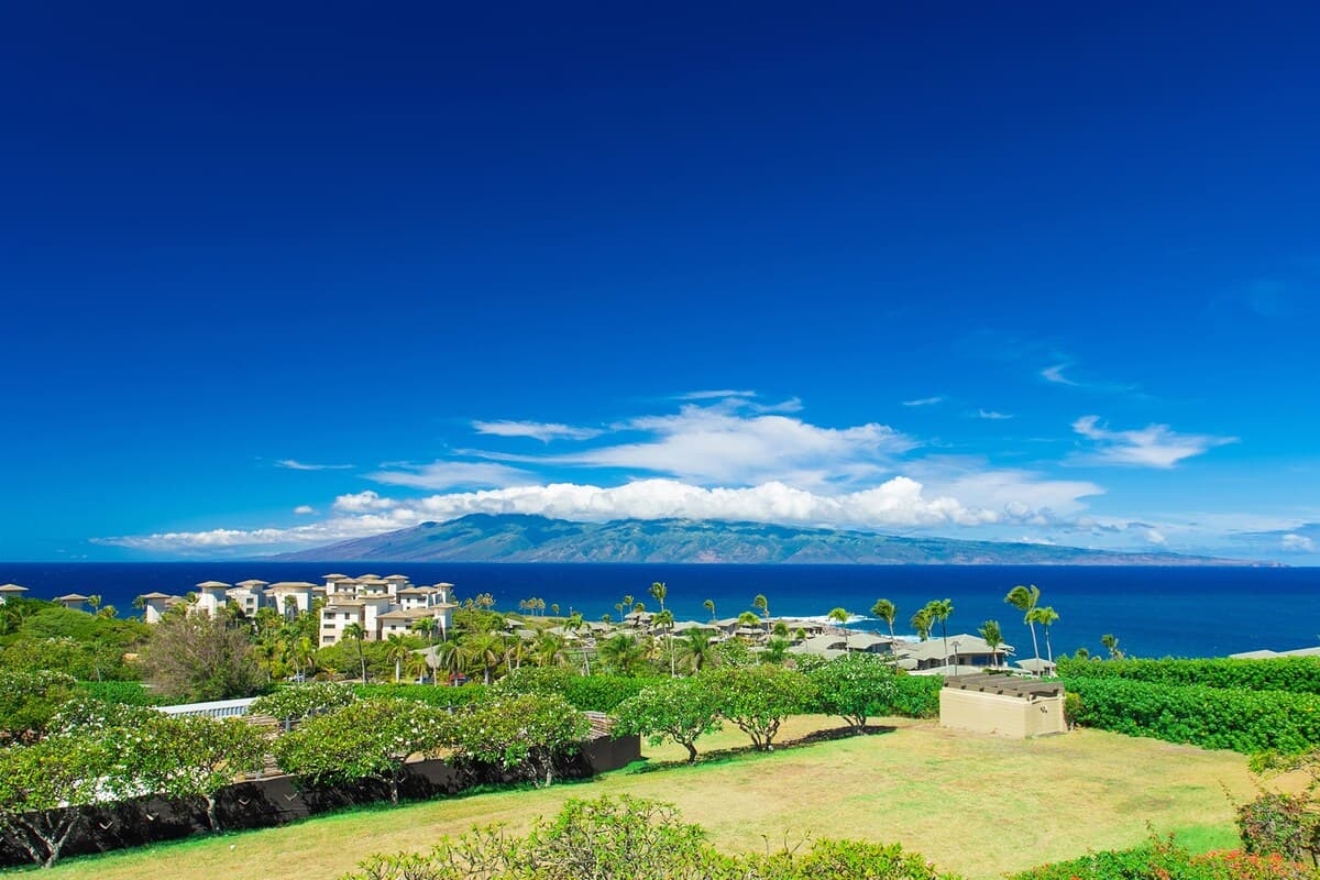 Home in Lahaina · ★4.88 · 1 bedroom · 2 beds · 2 shared baths - Photo 3