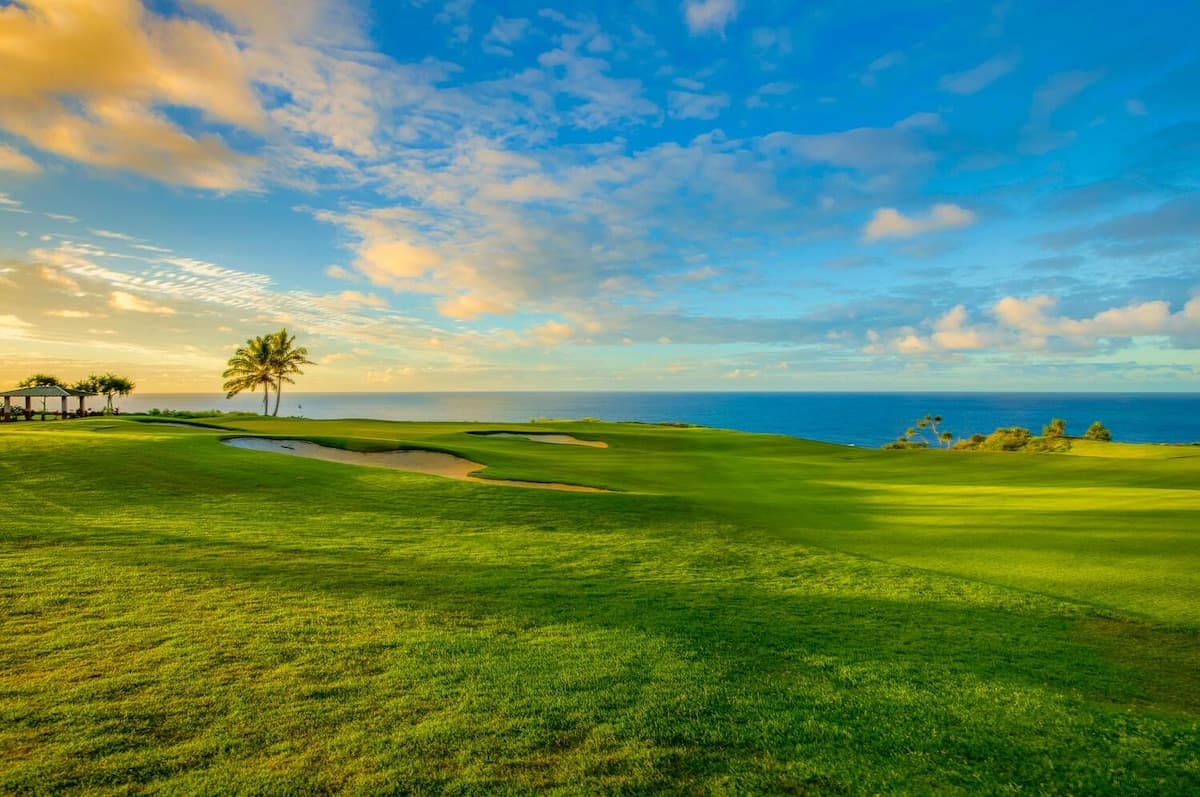Condo in Princeville · ★4.92 · 2 bedrooms · 2 beds · 2 private baths - Photo 4