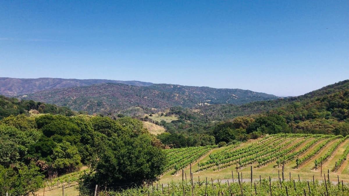 Napa Farmhouse with Vineyard & Lake Views - Photo 1