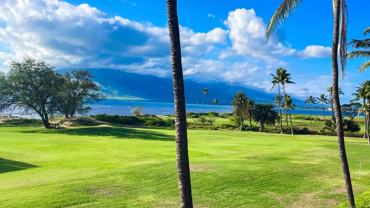 Home in Kihei · ★4.85 · 2 bedrooms · 4 beds · 2 private baths - Photo 2