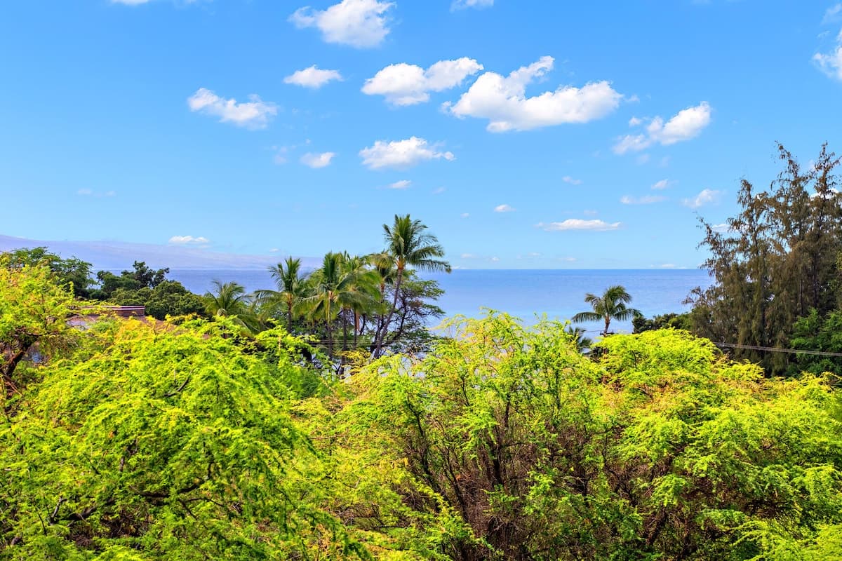 Condo in Kihei · ★4.81 · 1 bedroom · 2 beds · 1 private bath - Photo 3