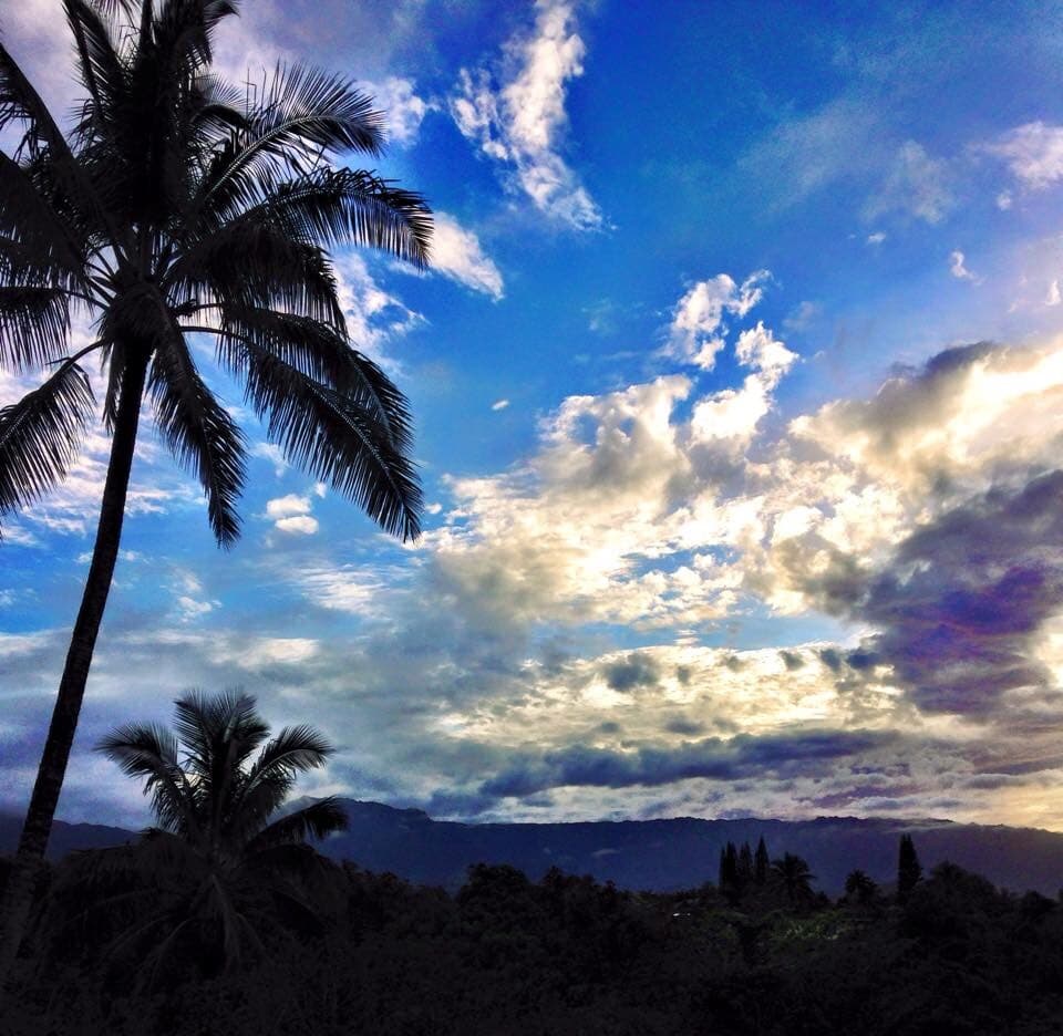 A/C Vibrant Tropical Sunsets ~Heated Pool/Jacuzzi - Photo 4