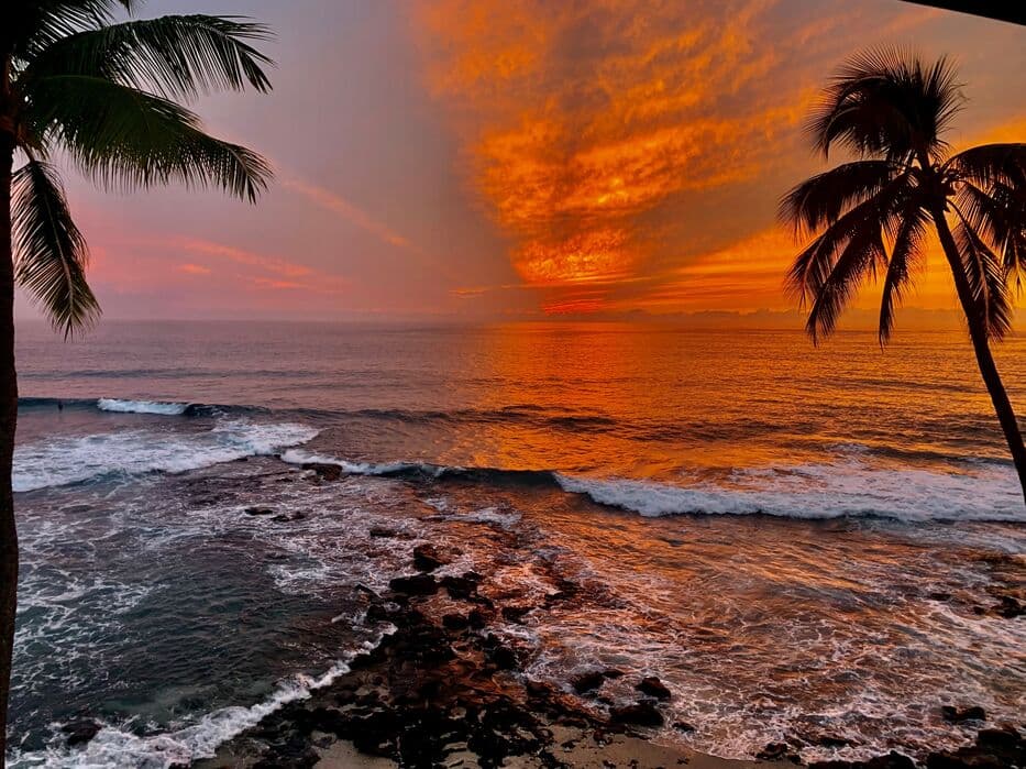 Condo in Kailua-Kona · ★5.0 · 1 bedroom · 1 bed · 1 bath - Photo 1