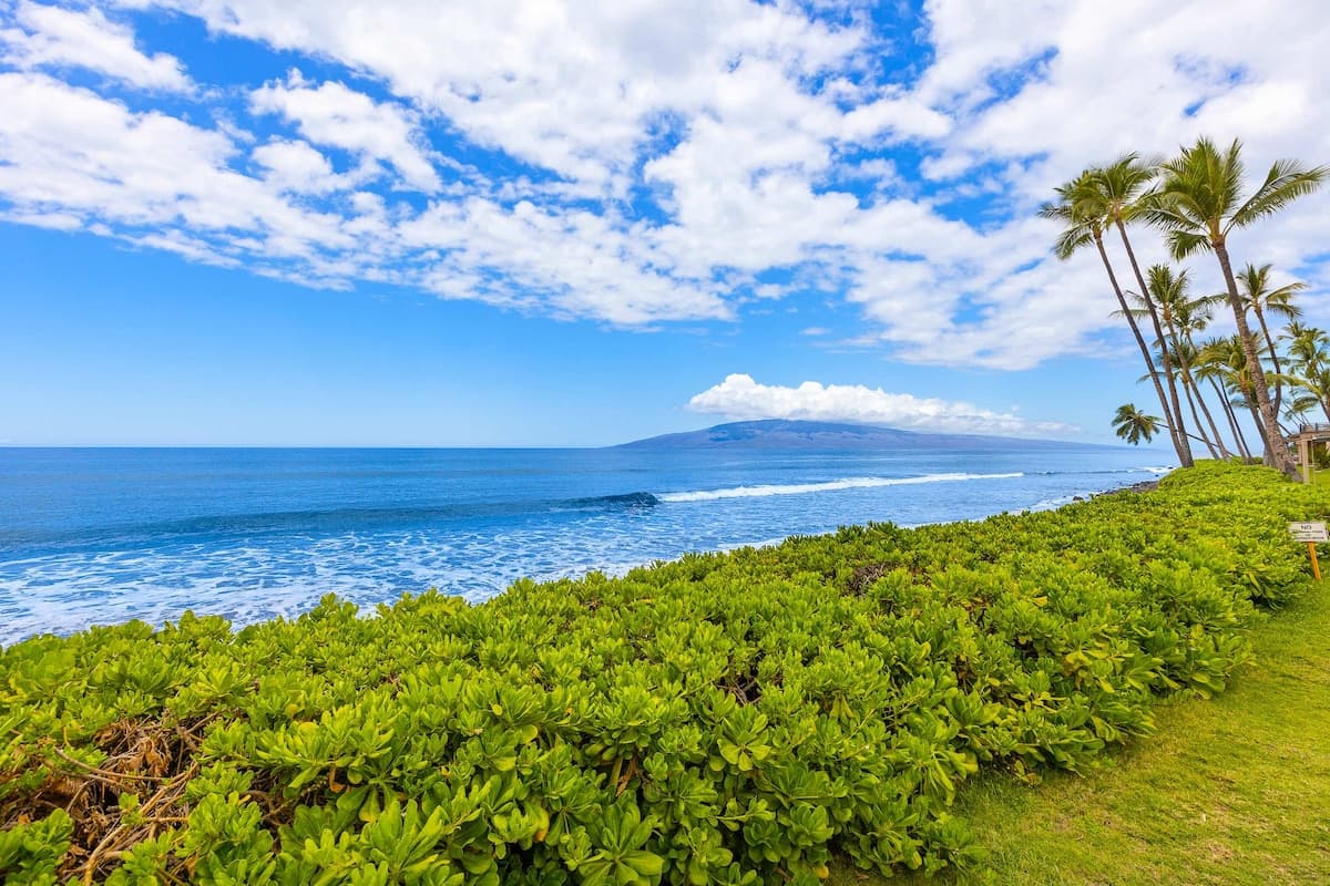 Townhouse in Lahaina · ★5.0 · 4 bedrooms · 4 beds · 4 baths - Photo 4