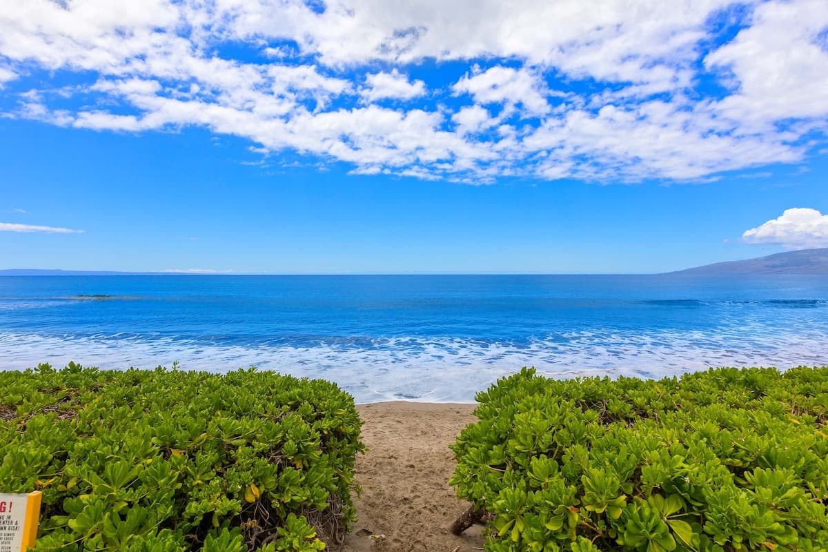 Townhouse in Lahaina · ★5.0 · 4 bedrooms · 4 beds · 4 baths - Photo 5