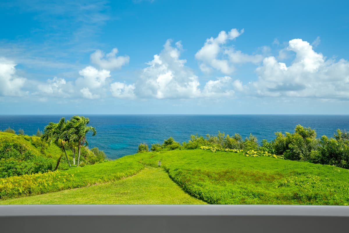 Majestic Ocean Views ~A/C ~Pool ~BBQ - Photo 3