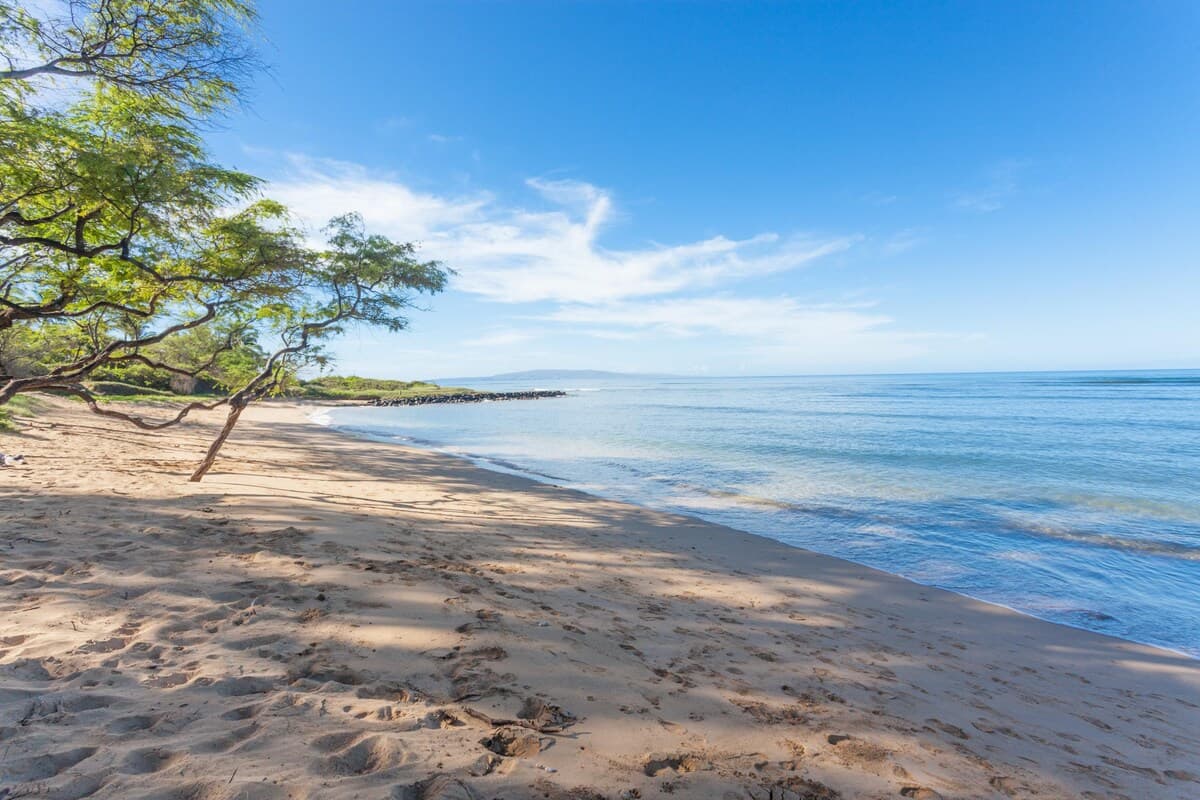 Condo in Kihei · ★4.86 · 1 bedroom · 2 beds · 1 shared bath - Photo 4