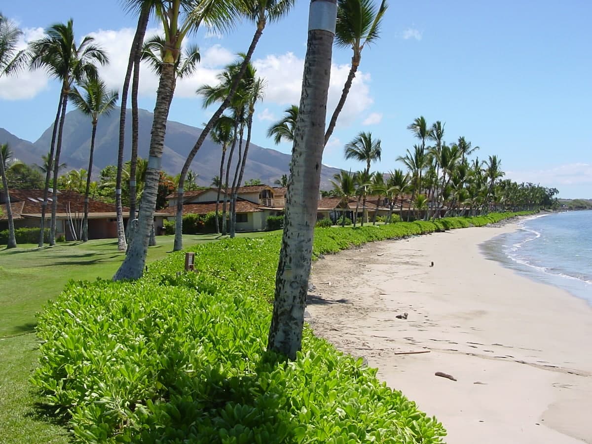 Townhouse in Lahaina · ★4.2 · 1 bedroom · 1 bed · 2 baths - Photo 4