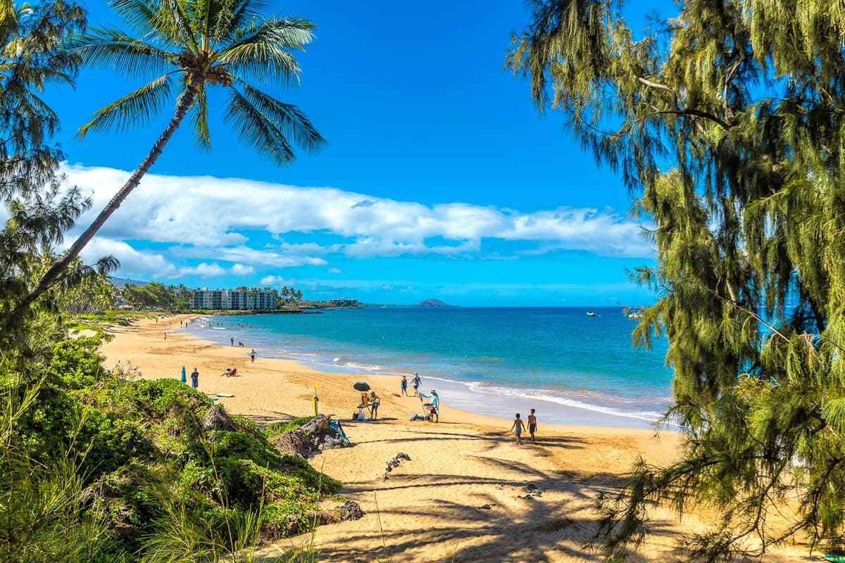 Condo in Kihei · ★5.0 · 2 bedrooms · 3 beds · 2 private baths - Image 47
