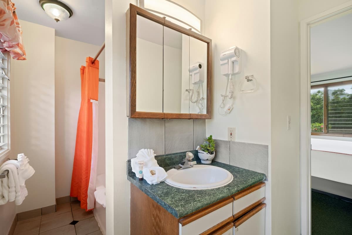 Kauai Inn, Large king - Photo 5