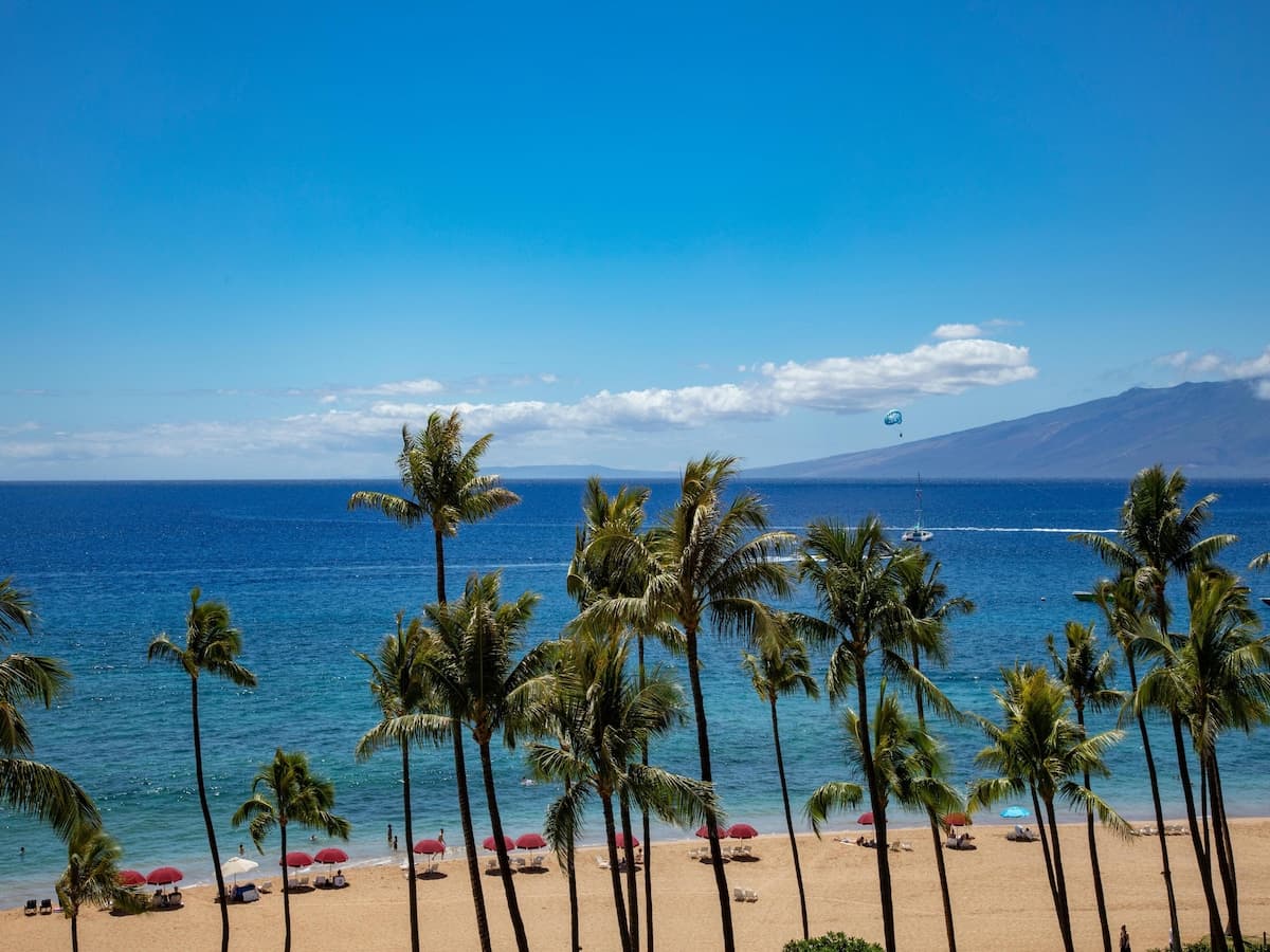 Ocean View on Kaanapali Beach - Great for Families - Photo 1