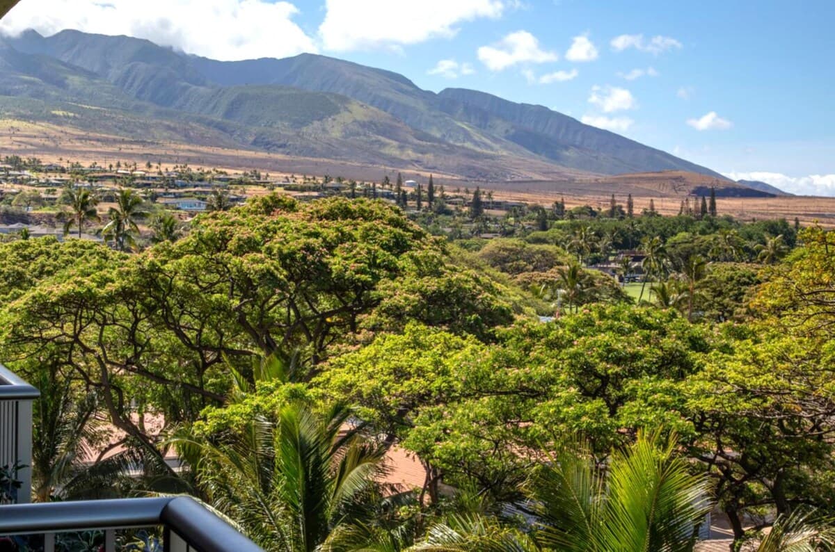 Condo in Lahaina · ★5.0 · 1 bedroom · 2 beds · 1 bath - Photo 4