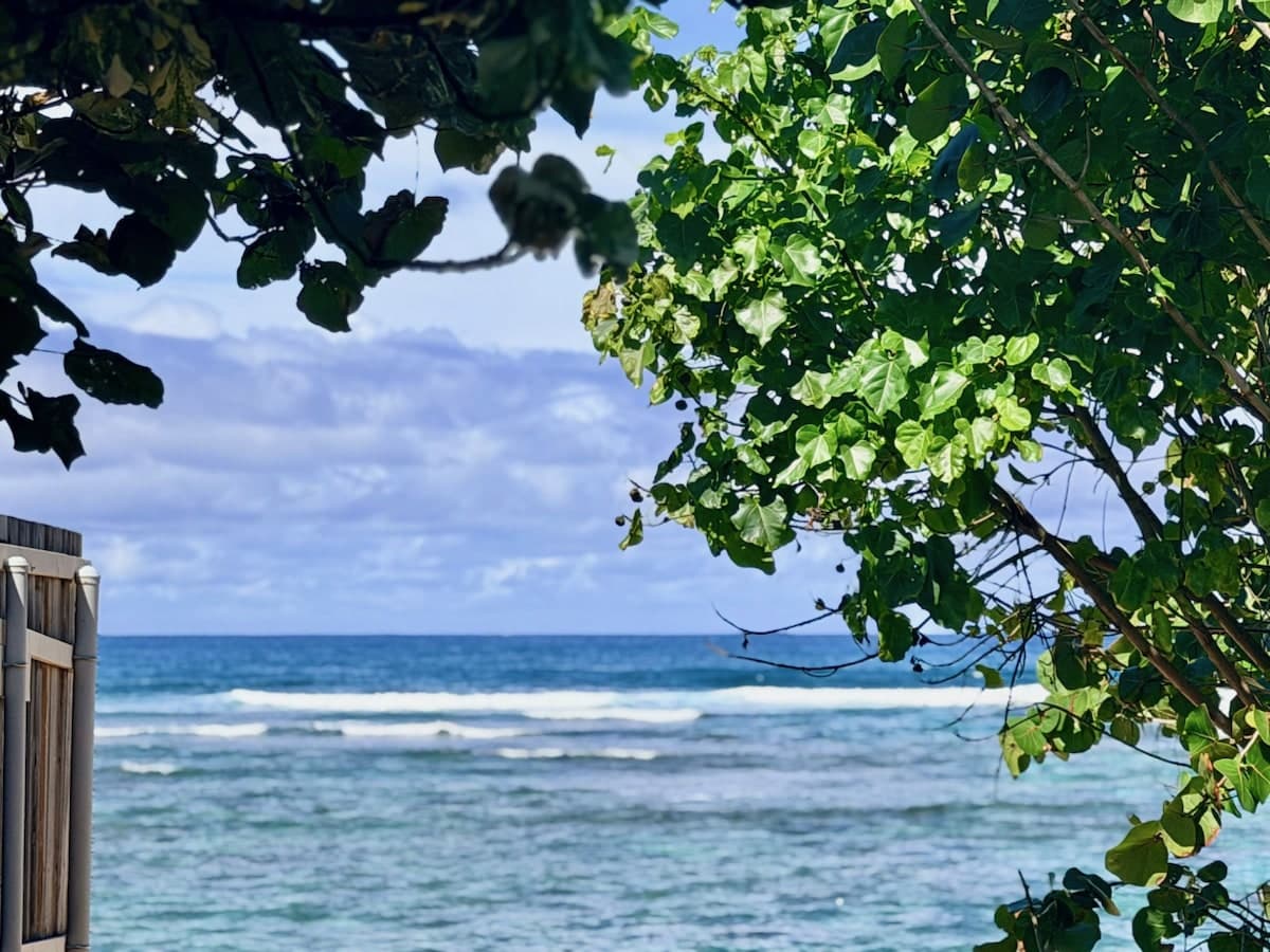 Home in Waialua · ★5.0 · 1 bedroom · 1 bed · 1 private bath - Photo 2