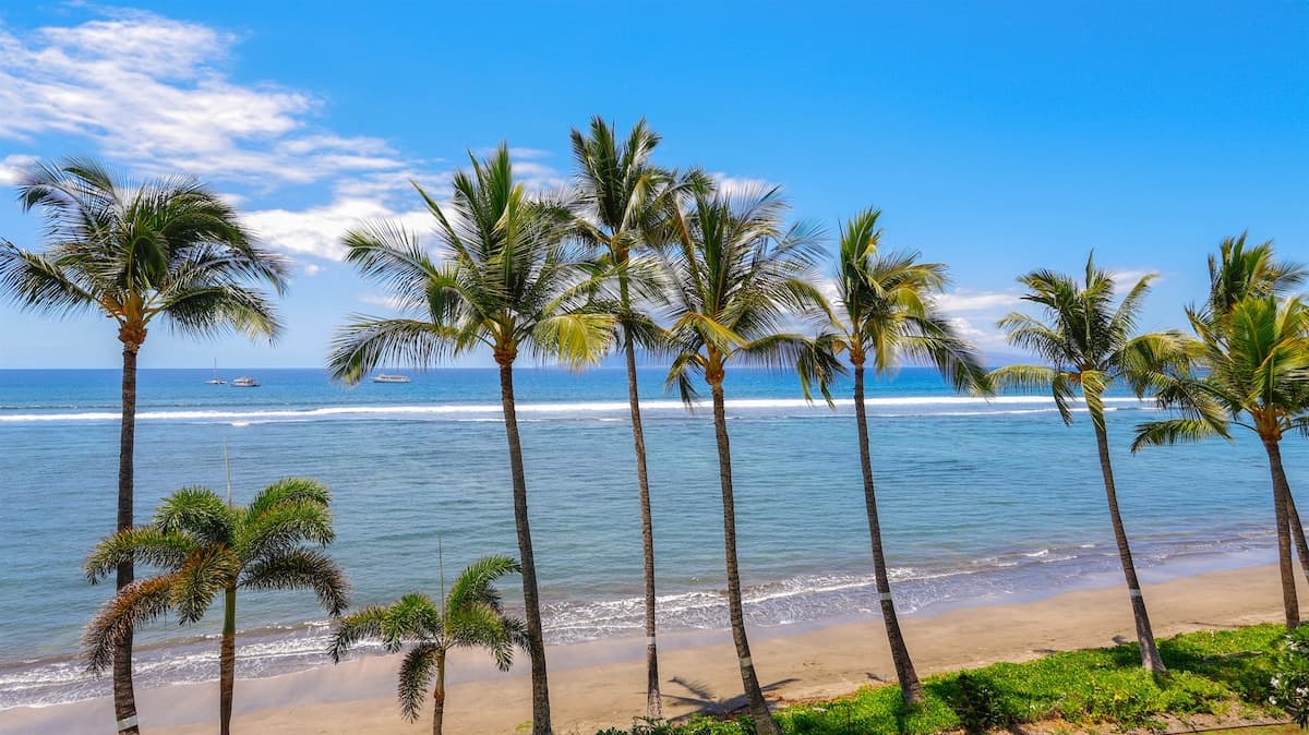 Condo in Lahaina · ★5.0 · Studio · 1 bed · 1 bath - Photo 4