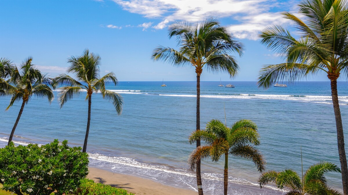 Condo in Lahaina · ★5.0 · Studio · 1 bed · 1 bath - Photo 5