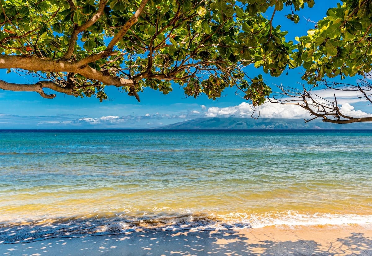 Condo in Lahaina · ★4.97 · 2 bedrooms · 4 beds · 2 baths - Photo 2