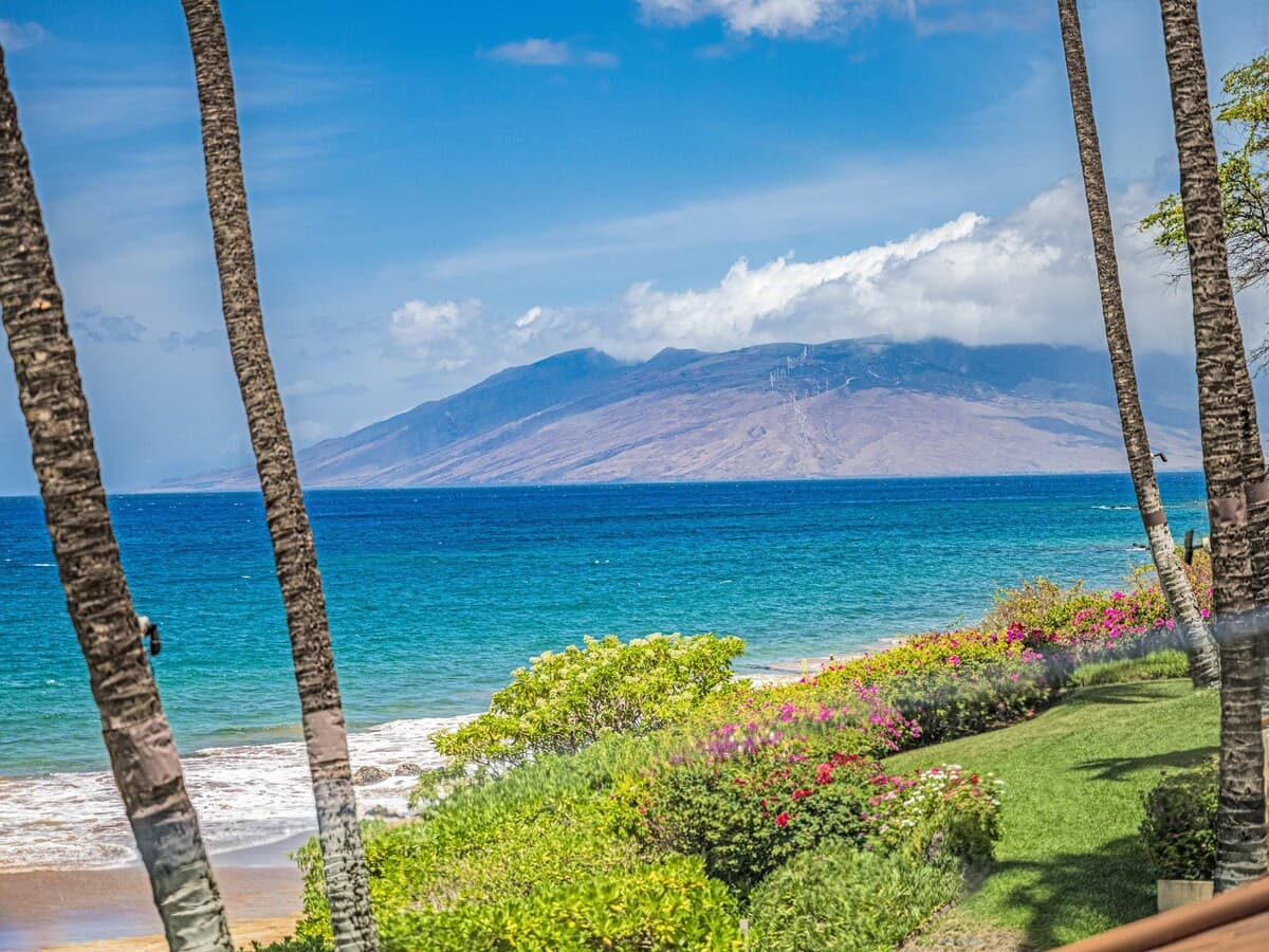 Condo in Kihei · ★5.0 · 2 bedrooms · 4 beds · 2 baths - Photo 5