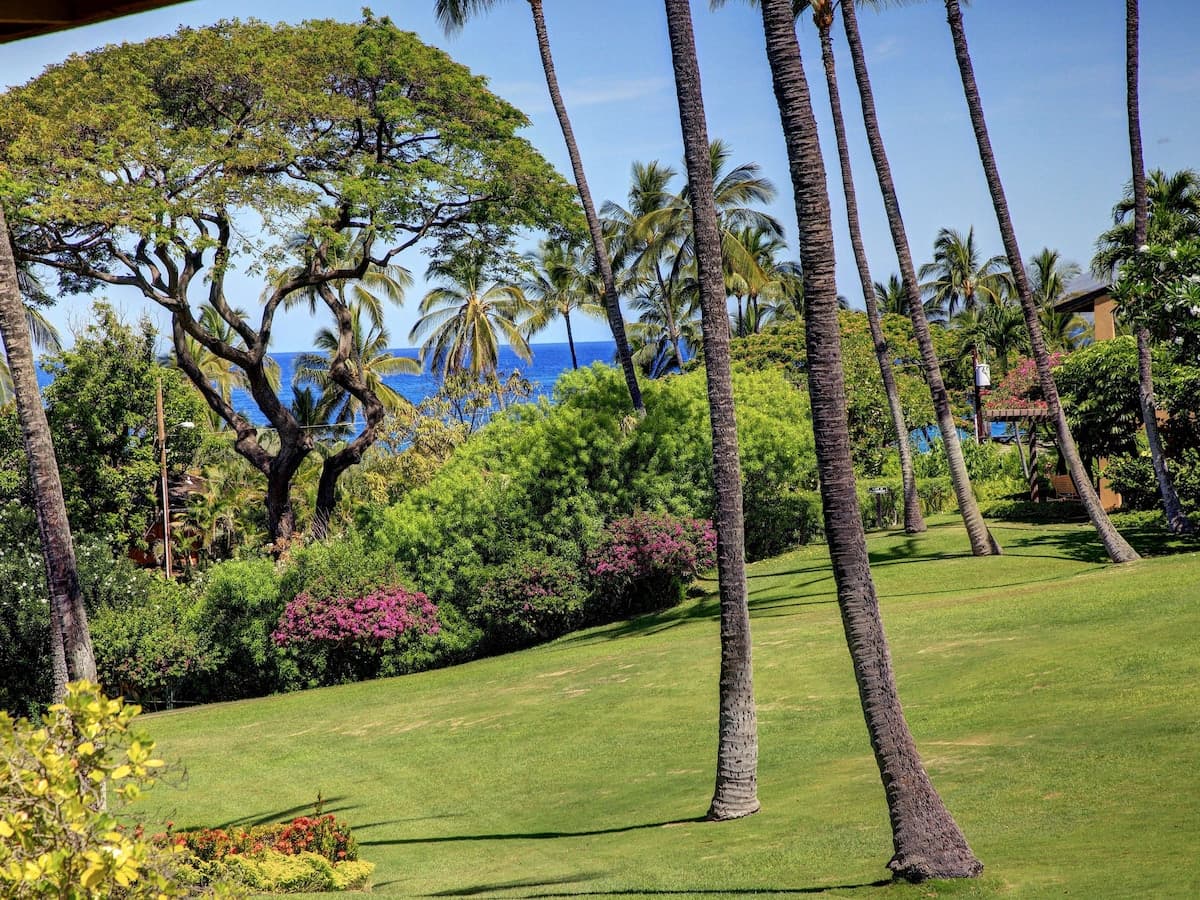 Condo in Kihei · ★4.75 · 1 bedroom · 2 beds · 1 bath - Photo 1