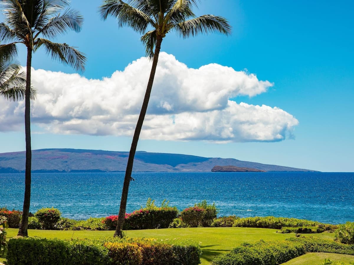 Condo in Kihei · ★5.0 · 2 bedrooms · 3 beds · 2 baths - Photo 2