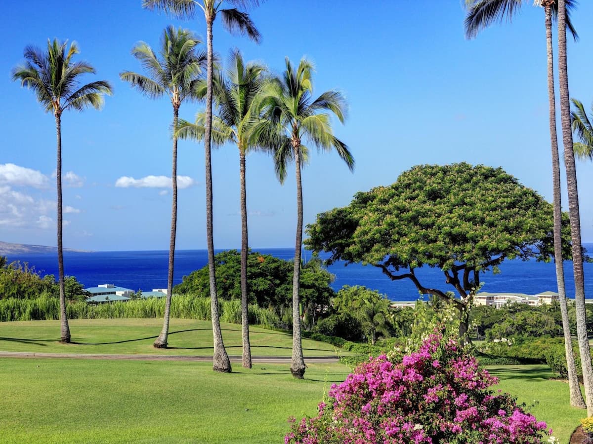 Condo in Kihei · ★5.0 · 1 bedroom · 2 beds · 2 baths - Photo 1