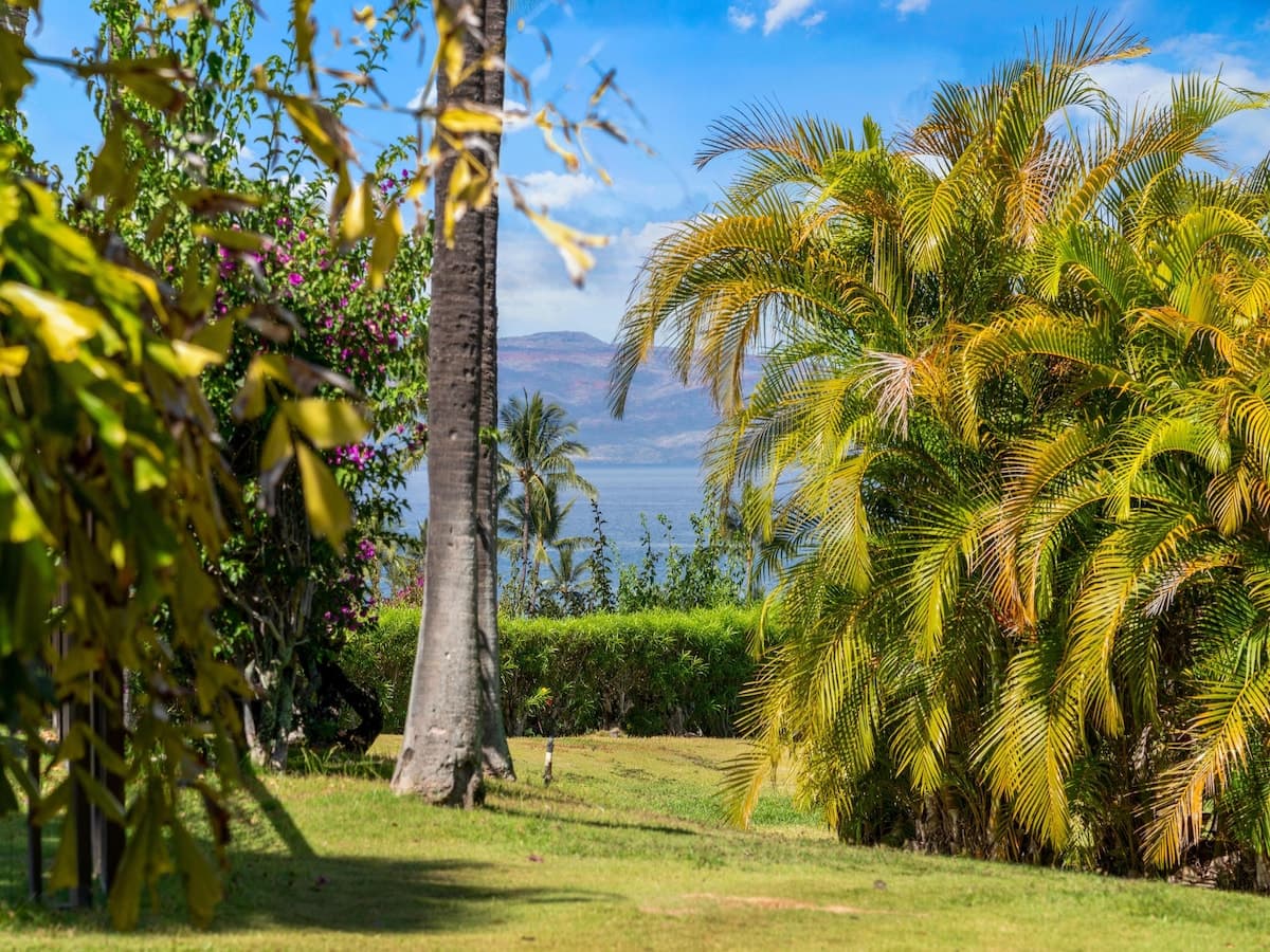 Condo in Kihei · ★5.0 · 1 bedroom · 2 beds · 2 private baths - Photo 3