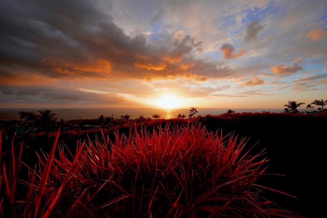 Home in Kailua-Kona · ★5.0 · 4 bedrooms · 4 beds · 4.5 baths - Photo 4