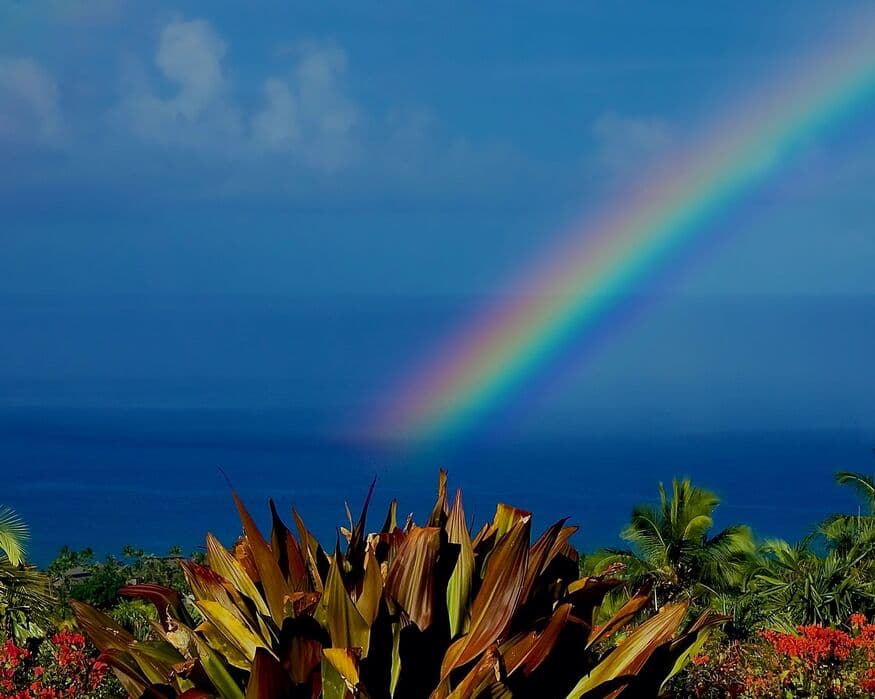 Home in Kailua-Kona · ★5.0 · 4 bedrooms · 4 beds · 4.5 baths - Photo 2