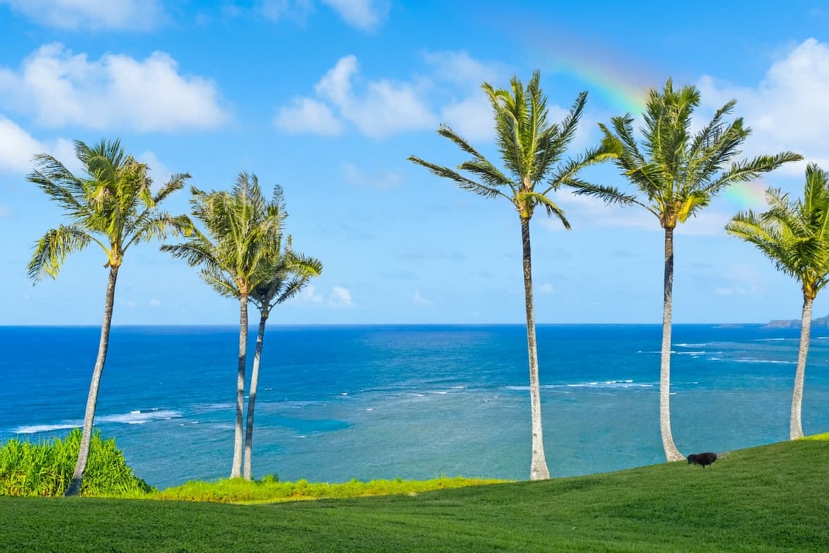Condo in Princeville · ★4.94 · 1 bedroom · 2 beds · 1 bath - Photo 2