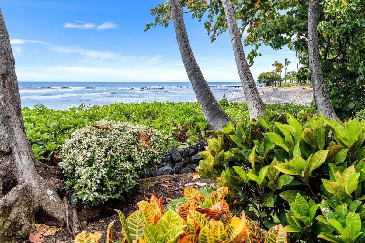 Condo in Kailua-Kona · ★5.0 · 2 bedrooms · 3 beds · 2 baths - Photo 4