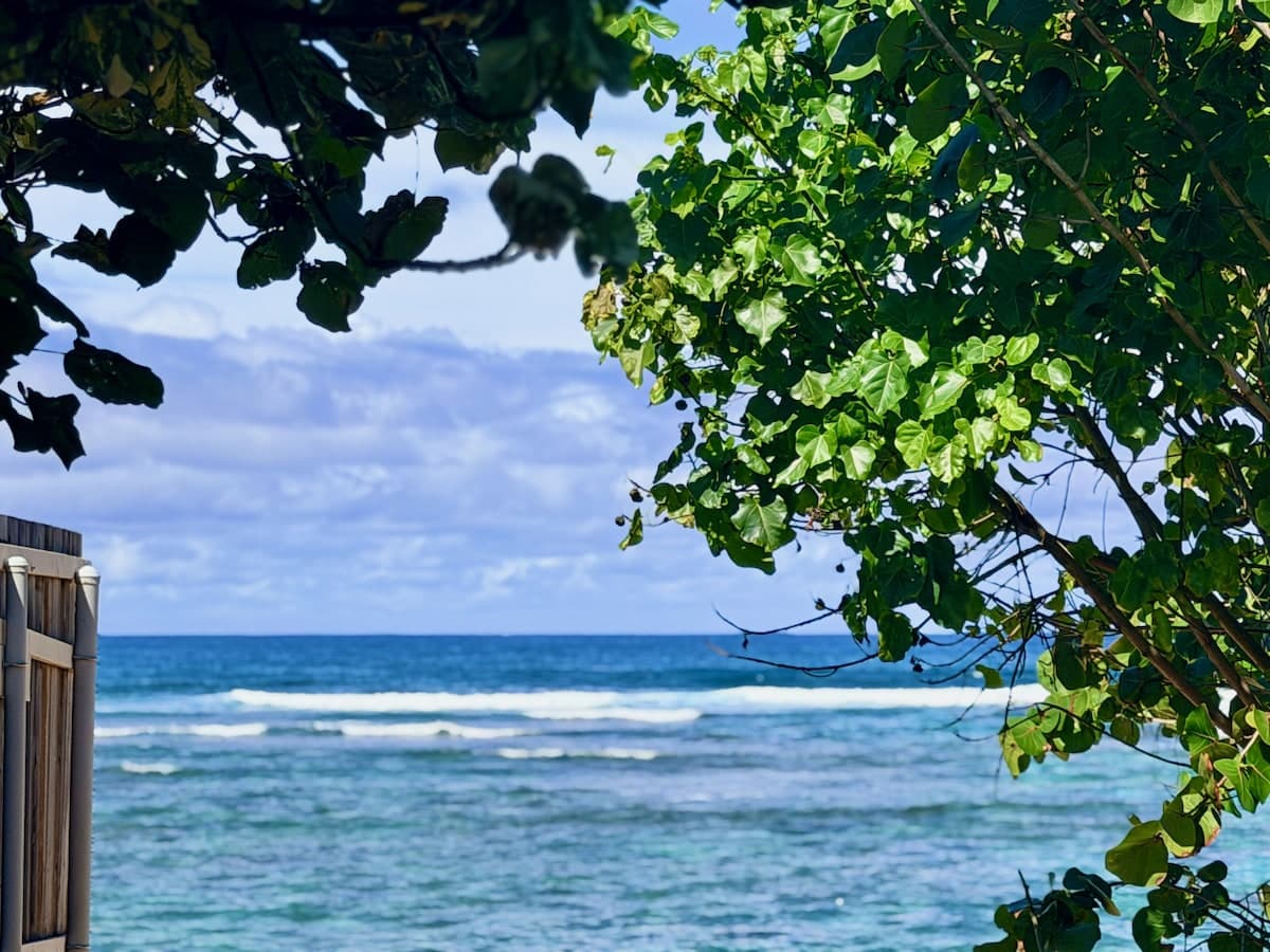 Home in Waialua · ★5.0 · 1 bedroom · 2 beds · 1 private bath - Photo 5