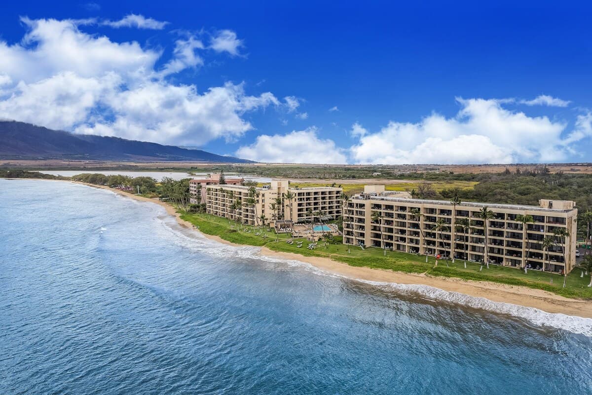 Sugar Beach Resort 325: 1BR Oceanfront | Patio - Photo 4