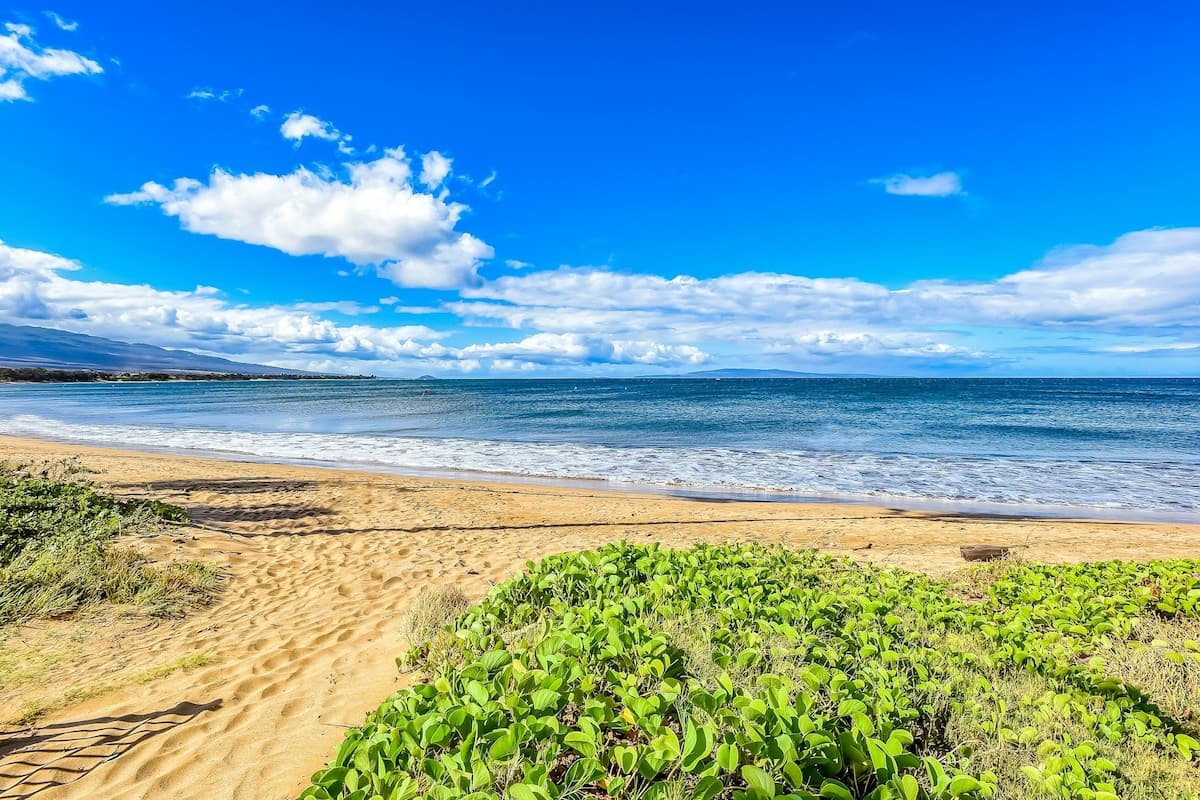 Condo in Kihei · ★4.74 · 1 bedroom · 2 beds · 1 private bath - Photo 4