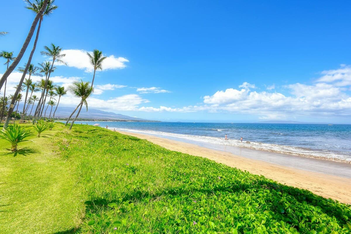 Condo in Kihei · ★4.8 · 1 bedroom · 2 beds · 1 private bath - Photo 5