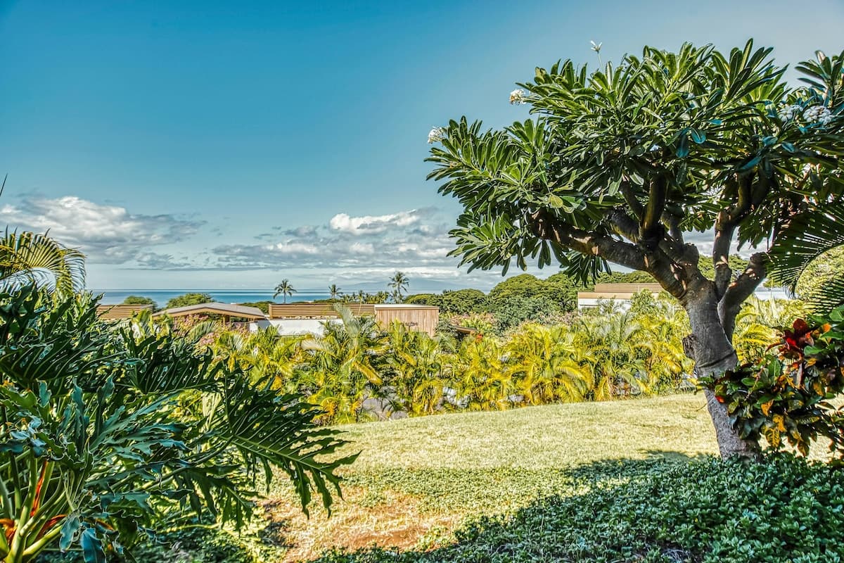 Condo in Kihei · ★4.6 · 2 bedrooms · 2 beds · 2 private baths - Photo 3