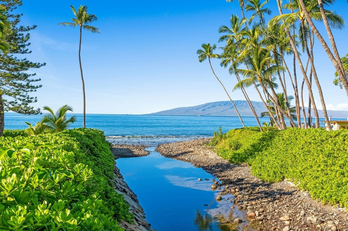 Townhouse in Lahaina · ★4.58 · 2 bedrooms · 3 beds · 3 private baths - Photo 4