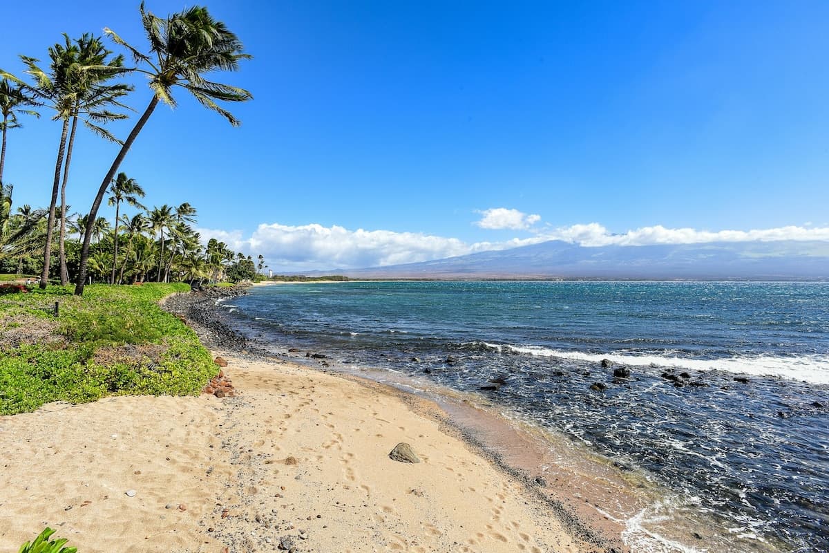 Condo in Wailuku · ★4.24 · 2 bedrooms · 2 beds · 2 private baths - Photo 4