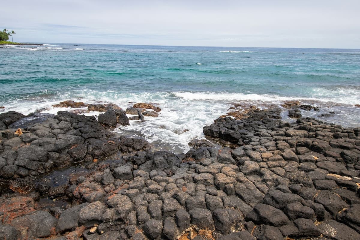 1BR oceanfront 1/ ground-floor access - near beach - Photo 2